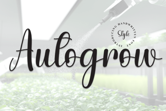 Autogrow: A Designer's Verdict on Script Amp's Newest Display Typeface