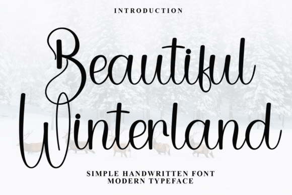Beautiful Winterland: A Warm Script Font for Editorial Design