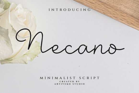 Necano: The Modern Script Typeface for Scroll-Stopping Campaigns