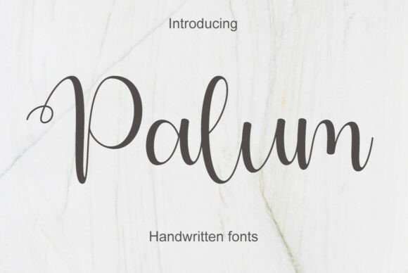 Palum: A Designer's Honest Review for Real-World Projects