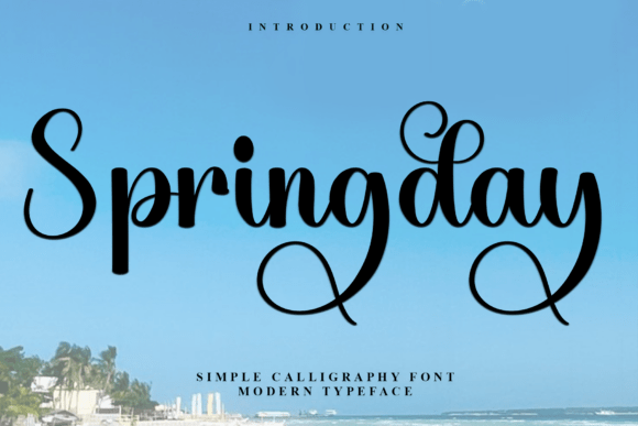 Springday: The Premium Script Font for Warm Campaign Visuals
